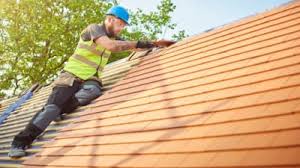 Best Roof Moss and Algae Removal  in Stonewood, WV